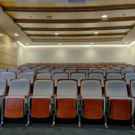 Vip Executive Azores